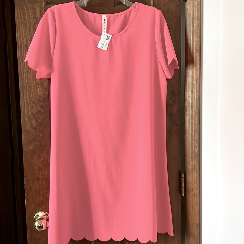 NWT Boutique Dress (L)